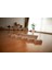 4'lü Denge Tahtası Balance Beam | Ahşap Denge Tahtaları | Çocuklar Için Aktivite Oyuncağı 2