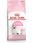 Kitten Yavru Kedi Maması 2 kg x 2 Adet 1