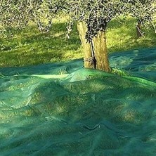 Olio Hasat Zeytin Dut Kayısı Toplama Filesi - 6x5 M