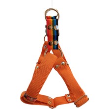 Balkonda Köpek göğüs tasması turuncu yumuşak kolon orta ırk genişlik:3,5cm kalınlık:3mm göğüs ölçüsü:40-75cm ayarlamalı dog harness GT3-18