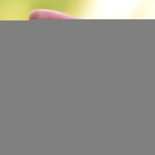 Taş Sandığı Kristal Kuvars Taşı Faset Kesim - Büyük Boy Yüzük ve Kolye Taşı