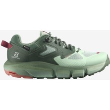 Salomon Predıct Hıke Gtx W