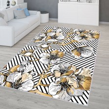 Rovigo Home RVG0311-SD128-50