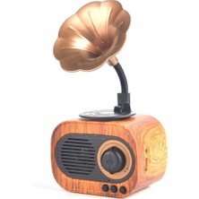 Taşınabilir Nostaljik B5 Speaker Gramofon Radyo/usb/sd/bluetooth Hoparlör 22 cm Mini Boy Retro Radyo