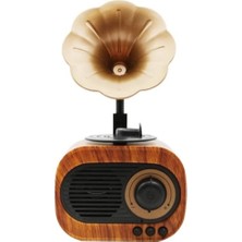 Taşınabilir Nostaljik B5 Speaker Gramofon Radyo/usb/sd/bluetooth Hoparlör 22 cm Mini Boy Retro Radyo