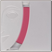 Kryolan Allık Blusher 05191 R21