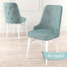 Canisa Concept Pare Serisi, Beyaz Gürgen Ayaklı, 1.sınıf Babyface Ithal Kumaş Sandalye , Gold Halkalı, 1 Adet