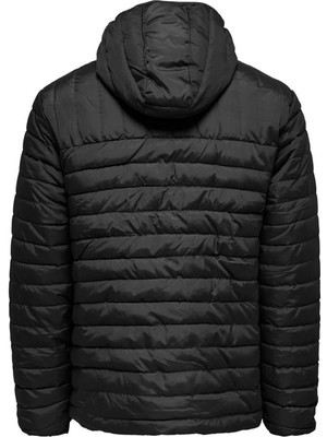 Giyinsen Only & Sons Onspiet Quilted Hood Jacket Otw Vd Erkek Mont - 22022613