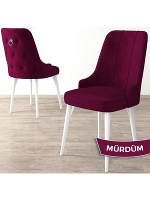 Canisa Concept Enoa Serisi Beyaz Gürgen Ayaklı Babyface Kumaş Gümüş Halkalı Sandalye