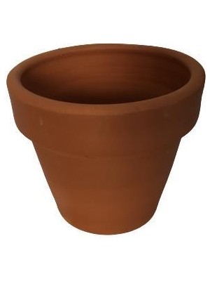 Armenbotanik Terra Cotta Toprak Saksı (10-10 cm )