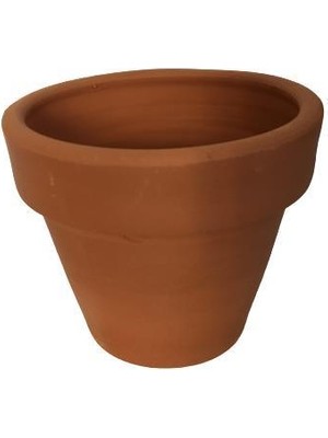 Armenbotanik Terra Cotta Toprak Saksı (10-10 cm )