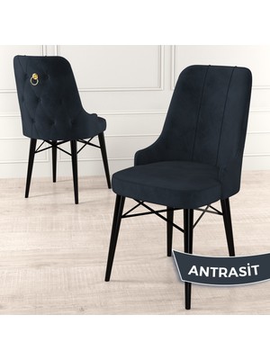 Canisa Concept Pare Serisi, Siyah Gürgen Ayaklı,  1.sınıf Babyface Ithal Kumaş Sandalye , Gold Halkalı, 1 Adet