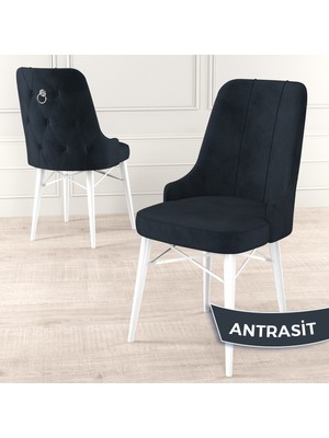 Canisa Concept Pare Serisi, Beyaz Gürgen Ayaklı, 1.sınıf Babyface Ithal Kumaş Sandalye , Gümüş Halkalı, 1 Adet