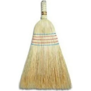 Ot Süpürge Çalı Süpürge