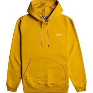 Arch Po Erkek Sweatshirt F1FL12