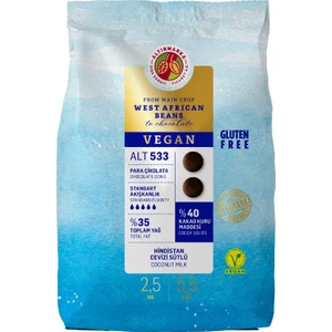 Alt533 Hindistan Cevizi Sütlü Vegan Mini Para Çikolata  2,5  kg