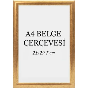 Özcanlar Çerçeve Diploma Çerçevesi  Belge Çerçevesi Sertifika Fotoğraf Çerçevesi A4  Tekli Boş Çerçeve 21X29,7-21X30