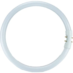 Master 22W 1800LM 3000K 2GX13 MASTER TL5 CIRCULAR SİMİT FLORESAN AMPUL