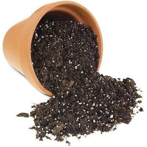 Reyon Bahçe Torflu Gübreli Saksı Toprağı 2,5 Lt