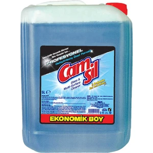 Profesyonel 5 Lt