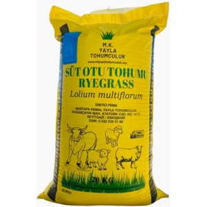M.K. YAYLA TOHUMCULUK İlk Adım Süt Otu Tohumu (Ryegrass) - Rye Grass - Italyan Çimi - Reygrass - Tetraploid - 20 kg