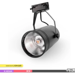 AD30-01901 3000K Günışığı 30W Siyah Kasa Cob LED Ray Spot Armatür