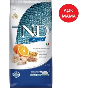 Yetişkin Kedi Maması Balıklı