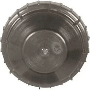 MAÇ OTOMOTİV Far Arka Kapagı Plastigi Renault 9  Broadway Yeni modei