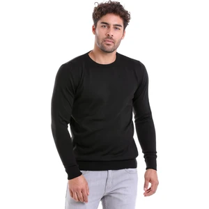 Erkek Siyah Regular Fit Yünlü Düz Bisiklet Yaka Triko Kazak