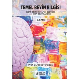 Temel Beyin Bilgisi: Insan Beyninin Yapısı, Işlevleri ve Işlev Bozukluğu