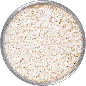 Transparan Pudra Translucent Powder 20 gr 05703 TL11