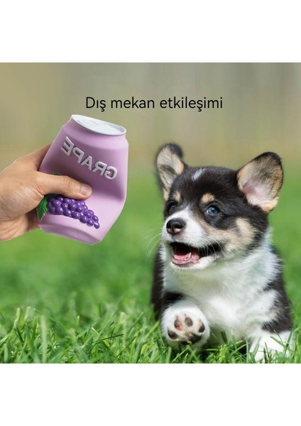 Lateks Sondaj Oyuncak Köpek Can Sıkıntısını Giderir Yüzebilir ve Isırmaya Dayanıklı Köpek Oyuncağı (Yurt Dışından)