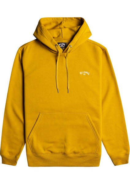 Arch Po Erkek Sweatshirt F1FL12