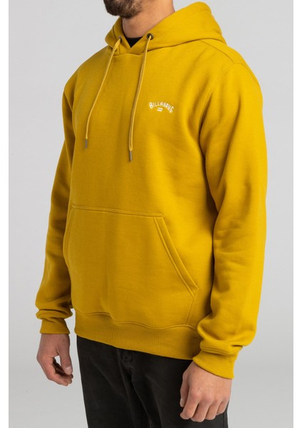 Arch Po Erkek Sweatshirt F1FL12