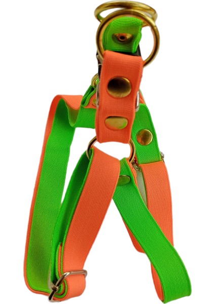 Köpek göğüs tasması minik ırk yumuşak kolon turuncu yeşil çift kat genişlik:1,5cm boyun ölçüsü:22-40cm ayarlamalı dog harness GT3-33
