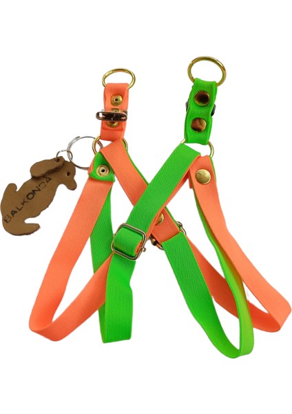 Köpek göğüs tasması minik ırk yumuşak kolon turuncu yeşil çift kat genişlik:1,5cm boyun ölçüsü:22-40cm ayarlamalı dog harness GT3-33