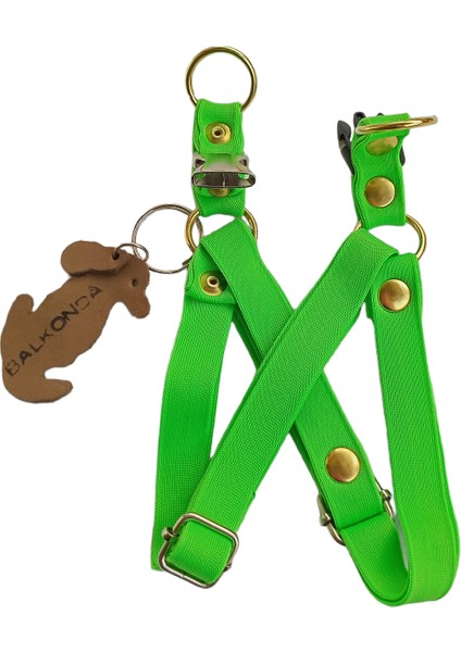 Köpek göğüs tasması minik ırk yumuşak kolon yeşil genişlik:1,5cm boyun ölçüsü:22-40cm ayarlamalı dog harness GT3-31 modelleri