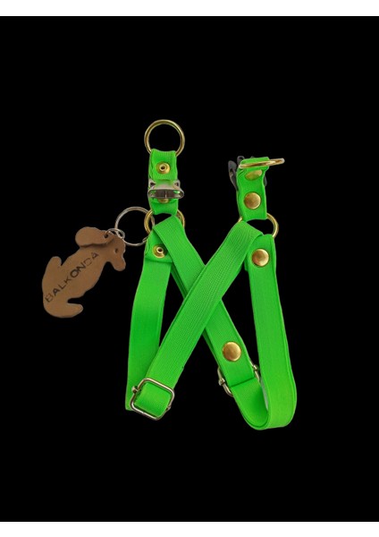 Köpek göğüs tasması minik ırk yumuşak kolon yeşil genişlik:1,5cm boyun ölçüsü:22-40cm ayarlamalı dog harness GT3-31 indirimleri
