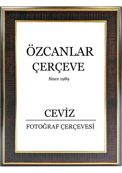 Özcanlar Çerçeve Boş Çerçeve Resim Çerçevesi Anı Çerçevesi 15X21 30X40 21X30 Çerçeve Gold Çerçeve Siyah Çerçeve