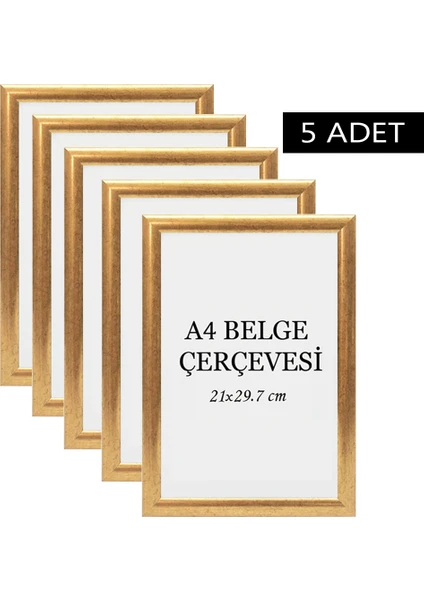 Özcanlar Çerçeve 5 Li Set A4(21X29.7) Diploma Çerçevesi Belge Çerçeveleri Sertifika Çerçevesi