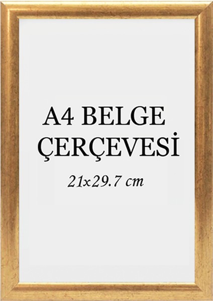 Diploma Çerçevesi Belge Çerçevesi Sertifika Fotoğraf Çerçevesi A4 Tekli Boş Çerçeve 21X29,7-21X30