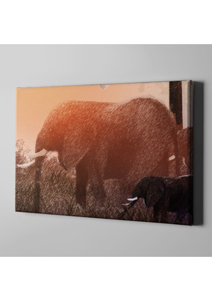 Filler Çizim Kanvas Tablo - 35 x 50 cm
