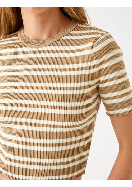 Crop Kazak Kısa Kollu indirimleri