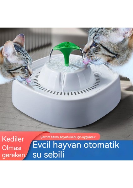 Kedi Su Sebili (Yurt Dışından)