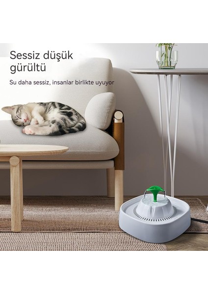 Kedi Su Sebili (Yurt Dışından)