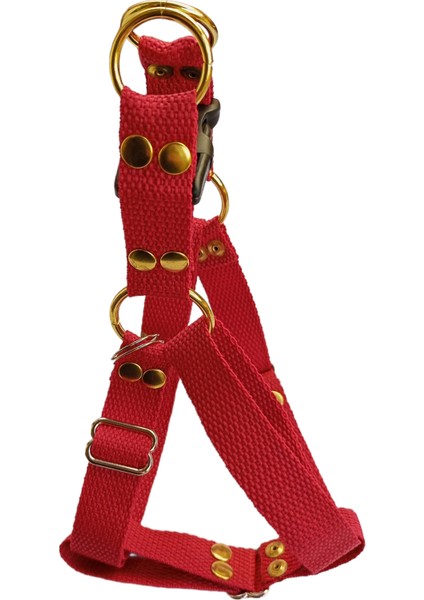 Köpek göğüs tasması kolon vişne çürüğü orta ırk genişlik:2,5cm göğüs ölçüsü:40-75 cm ayarlamalı dog harness GT3-34