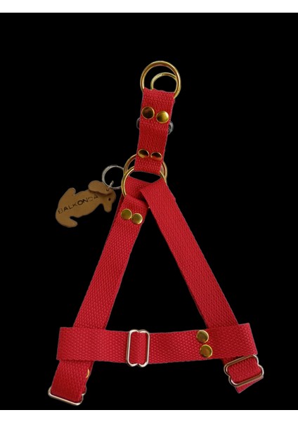 Köpek göğüs tasması kolon vişne çürüğü orta ırk genişlik:2,5cm göğüs ölçüsü:40-75 cm ayarlamalı dog harness GT3-34