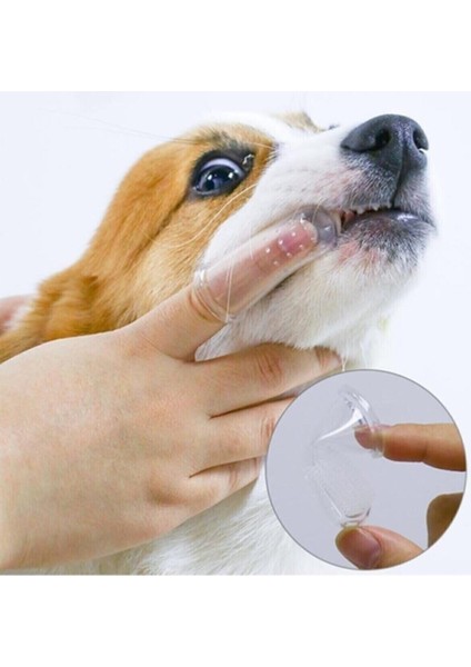 Kedi Ve Köpek Parmak Diş Fırçası Saklama Kutulu Kolay Kullanımlı Evcil Hayvan Diş Bakım Fırçası indirimleri