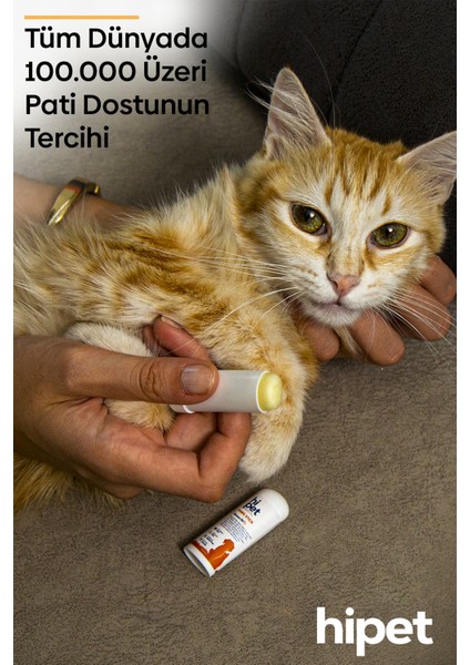 Kedi Jojoba Pati Stick