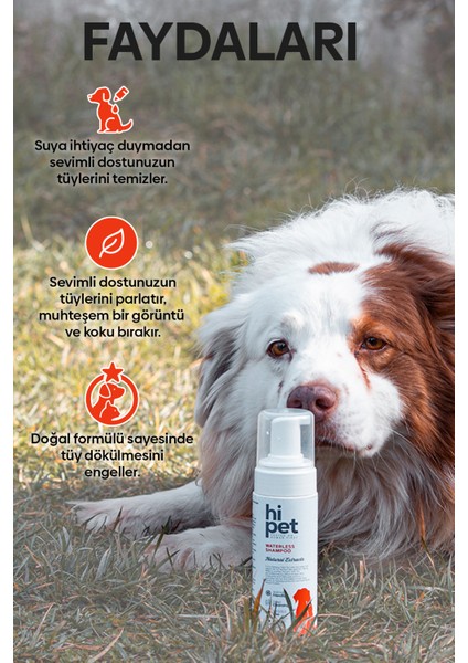 Köpek Kuru Şampuan